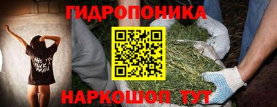 стафф Краснознаменск