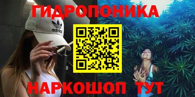 стафф Краснознаменск