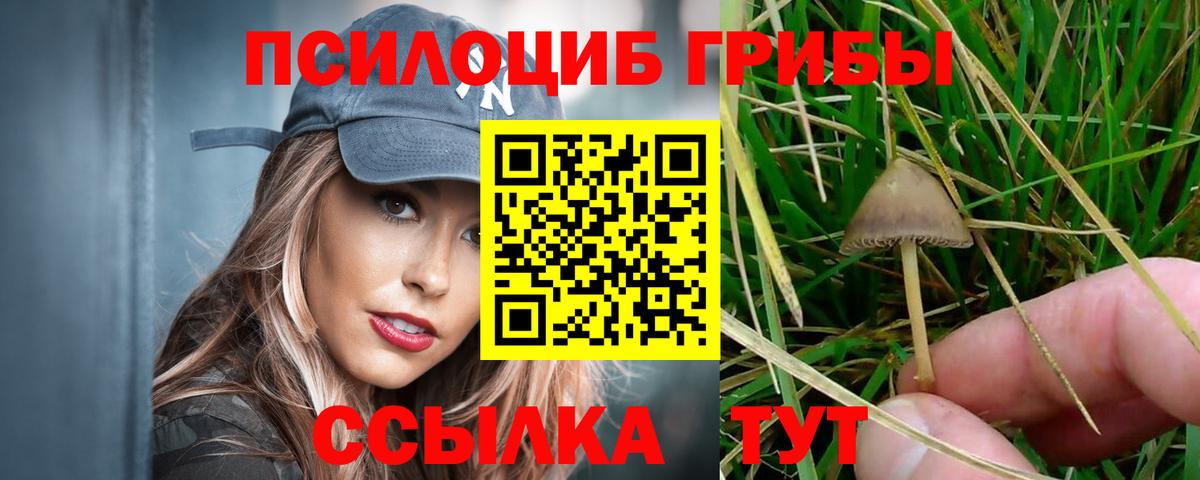 Ярцево  где купить наркоту  Галлюциногенные грибы MAGIC MUSHROOMS  Вход с VPN  Галлюциногенные грибы мицелий 